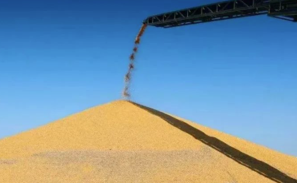 企业粮食收购资格备案"秒批秒办"