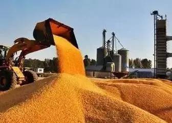 粮食为什么不能涨价 真的是因为这个吗 不敢相信
