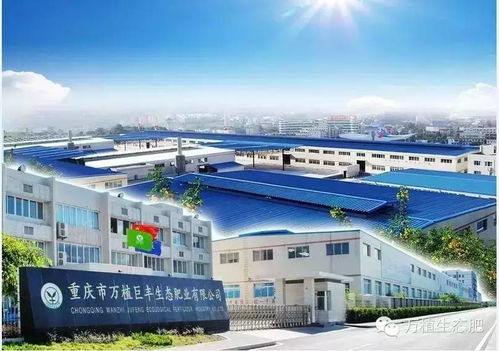 东北,玉米开启连涨模式