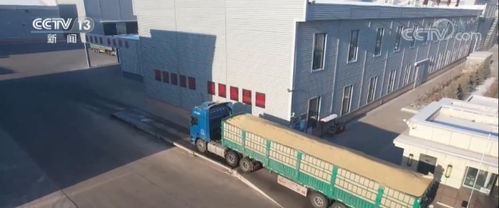 粮食收购企业智能化收储 农户卖上 舒心粮